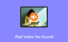 Ingen lyd på iPad Video Reparation