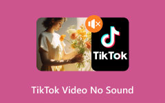 Sem som na correção de vídeo do TikTok