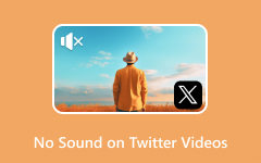 Twitter Videolarında Ses Yok Onarımı