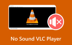 No Sound VLC Player
