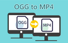 OGG su MP4