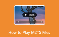 Play M2TS Files