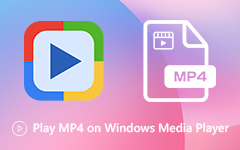 Riproduci MP4 su Windows Media Player