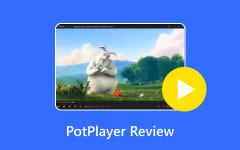 PotPlayer Review