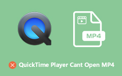 Quicktime oyuncuları MP4'ü açamıyor