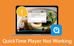 QuickTime Player fungerer ikke