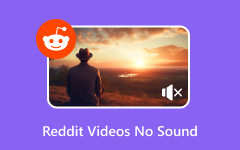 Vídeos de Reddit sin reparación de sonido