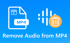 Supprimer l'audio de MP4