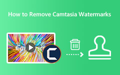 Eliminar marcas de agua de Camtasia