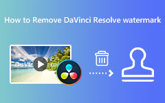 Poista Davinci Resolve Watermark