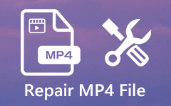 Réparer le fichier MP4