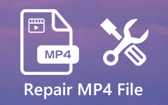 Reparera MP4-filen