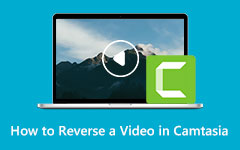 Omvendt en video i Camtasia