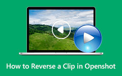 Clip inverso en Openshot