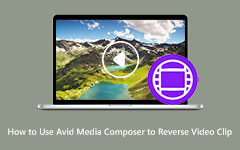عكس مقطع الفيديو في AVID Media Composer