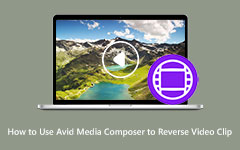 Reverse Video Clip v Avid Media Composer