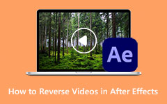 After Effects'te Ters Video