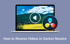 عكس مقاطع الفيديو في Davinci Resolve