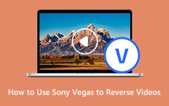 Reverse Videos with Sony Vegas