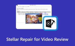 Stellar reparation til videoanmeldelse