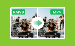 RMVB til MP4