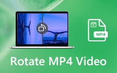 كيفية وضع صورة في الفيديو iMovie