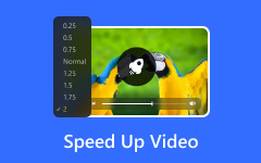 Speed Up Video