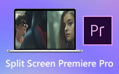 Premiere Pro met gesplitst scherm