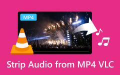 Elimina l'audio da MP4 VLC