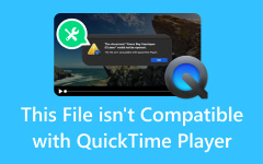 このファイルは QuickTime Player と互換性がありません