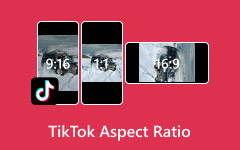 Tiktok Aspect Ratio