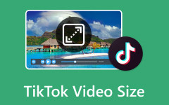 TikTok-videon koko