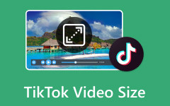 Dimensioni video TikTok