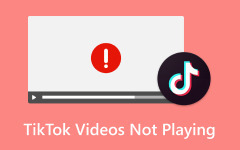 Vídeos do TikTok que não são reproduzidos e reparados