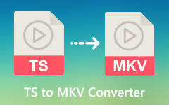 Convertidor TS a MKV