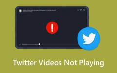 Twitter-videoer som ikke spilles Fix