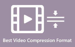Komprimerede videoformater
