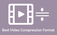 Formati video compressi