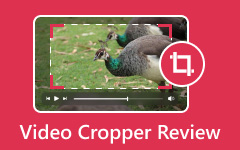 Video Cropper Review