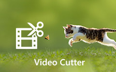 video Cutter