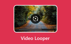 Video Looper