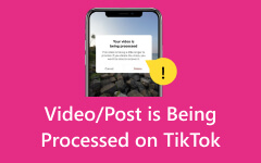 Il post video è in fase di elaborazione su TikTok