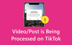 La publication vidéo est en cours de traitement sur TikTok