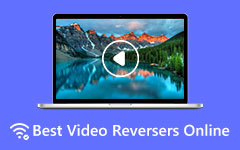 Video Reverser verkossa