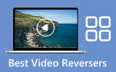Video reversere Review