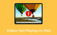 Videos Not Playing on iPad