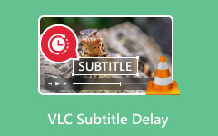 VLC Subtitle Delay
