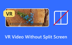 VR Video Without Split Screen