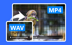 Converteer WAV-audiobestanden naar MP4