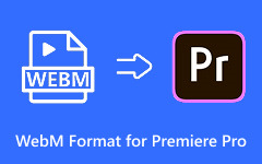 WebM Format for Premiere Pro